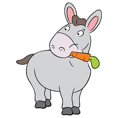 Pin the tail on the donkey